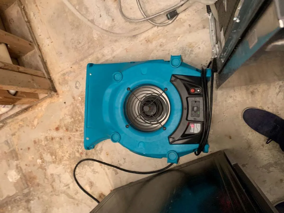 Air mover drying equipment for Mold Remediation & Removal in Weslaco