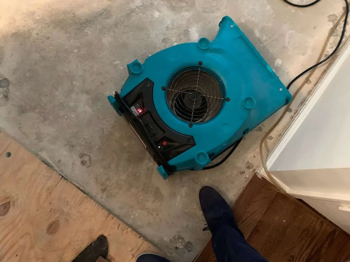 Air mover drying subfloor during Commercial Water Damage Restoration in Weslaco